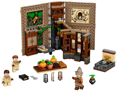 Lego Harry Potter 76384 Hogwarts Moment: Herbology Class-1