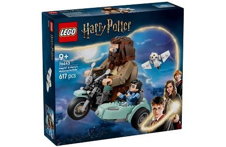 LEGO Harry Potter 76443 Hagrid and Harry's Motorcycle Ride